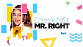 Checklist Mr Right Drama