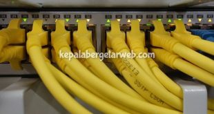 Cat5e Cables and Cat6 Cables